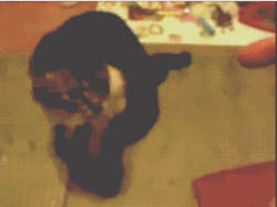 a180de74gw1e8edd3r6fsg206y057aoa.gif
