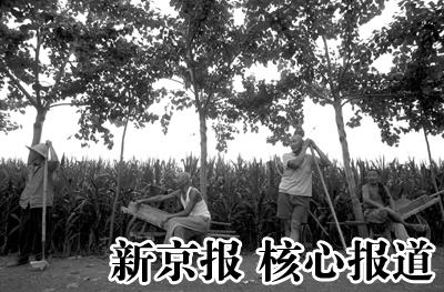 U1473P1T1D11042094F21DT20060919024507.JPG