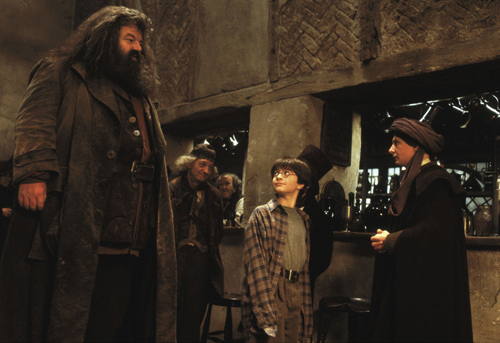 harryhagrid.jpg