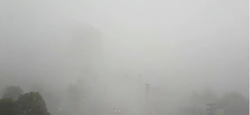 sdfw.jpeg