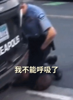 7cc8-iuvaazn3183159.gif