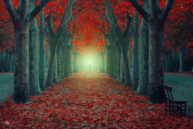 Dreamland-Photography17-640x426.jpg