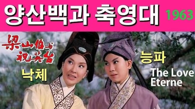 cnnews.chosun.com