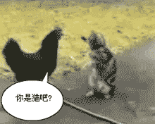 6cc80fc3tw1dhdvb2jw01g.gif