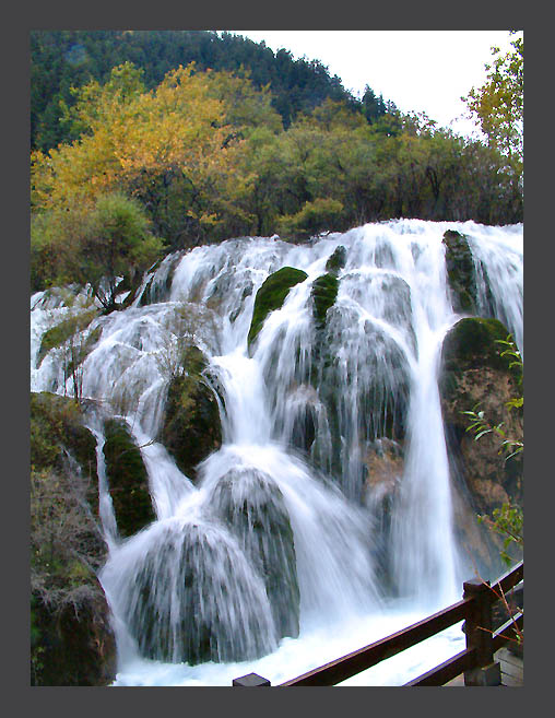 20041027213456720.jpg