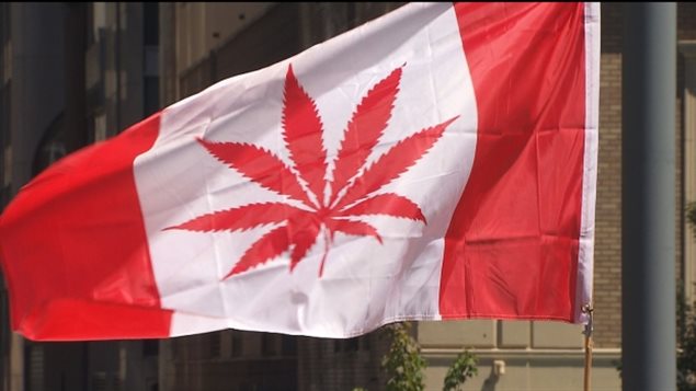 140702_232fp_rci-cannabisday_sn635.jpg