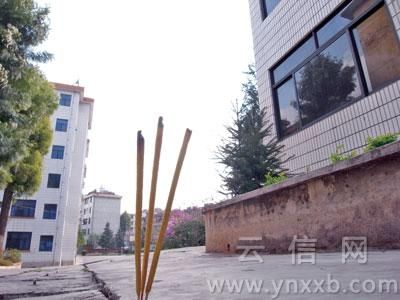 2010030705503125244.jpg