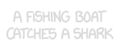 shark.gif