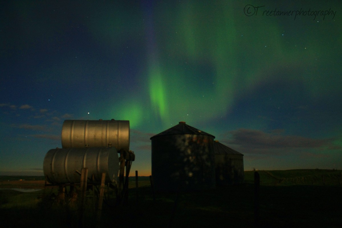 20130525_Tanner_01.jpg