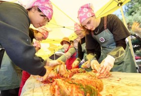cnnews.chosun.com