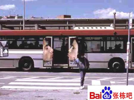 c6c19822fa8267f3d6cae244.jpg