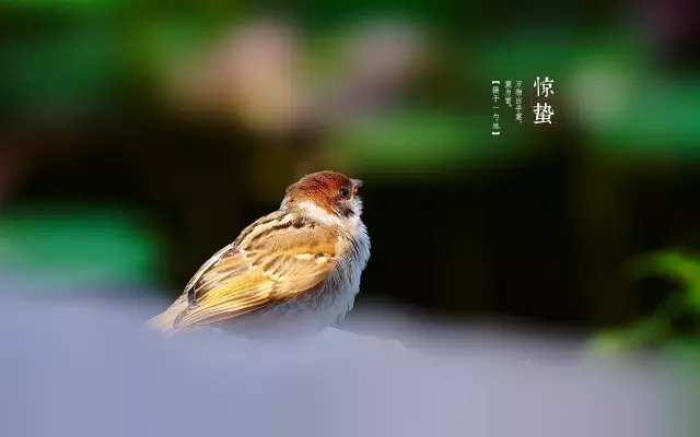 a8ec8a13632762d094292c97acec08fa513dc687.jpg