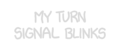 turnsignal1.gif