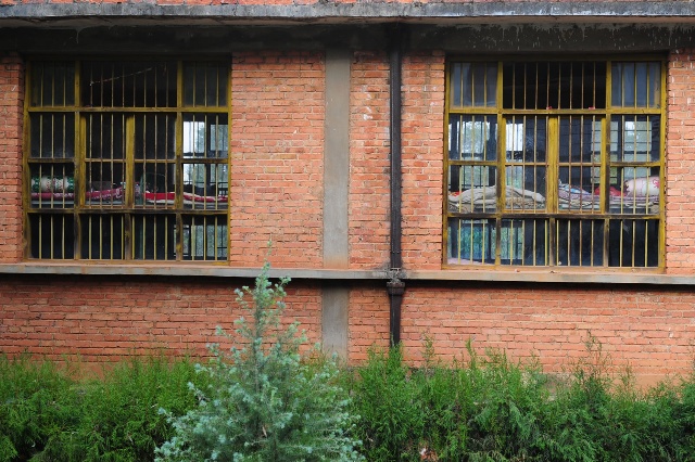 12894dcaddfg213.jpg