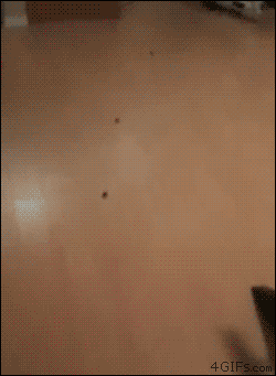 89318f8cgw1erj610bpk9g206y09h7we.gif