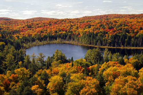 Algonquin_Provincial_Park.jpg