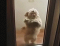 95a7b235jw1dr60brg31rg.gif