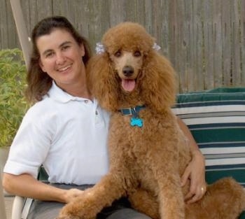 Standard_Poodle_Brandy_2000.jpg