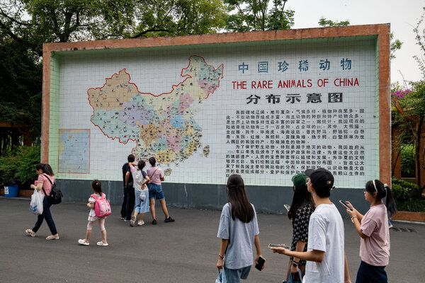 cn.nytimes.com
