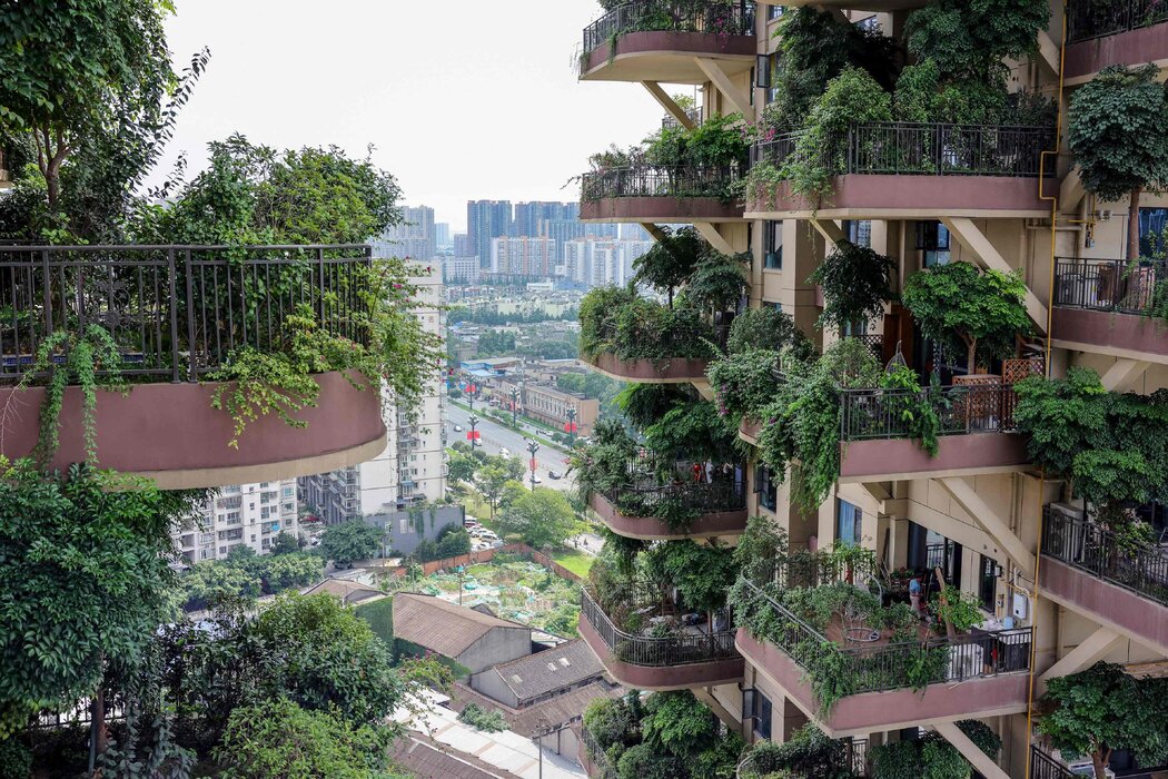 成都的房价上涨是中国所有大城市中最快的,没有受到该国持续已久的房地产颓势影响。 成都的房价上涨是中国所有大城市中最快的,没有受到该国持续已久的房地产颓势影响。