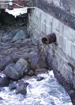 Img240208706.jpg