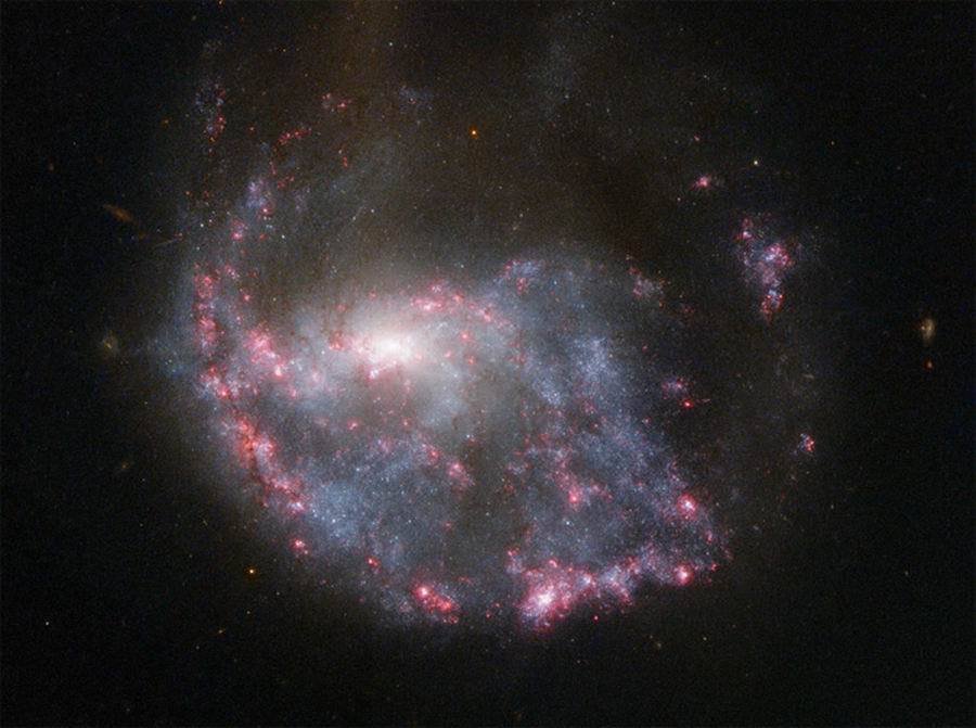 6863705_980x1200_0.jpg
