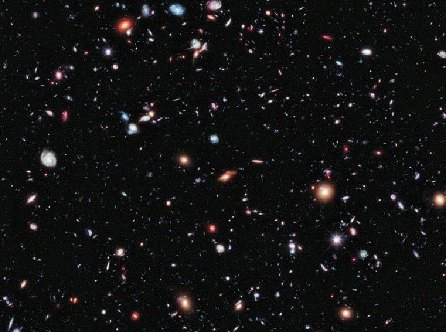 6863699_980x1200_0.jpg