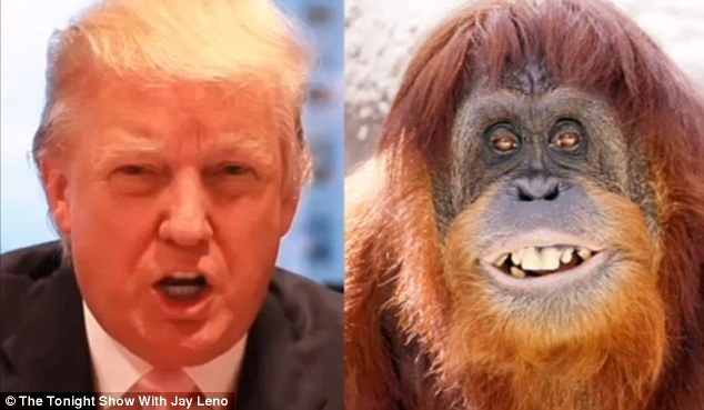 Liberal comedian and political talk show host Bill Maher suggested Donald Trump's orange hair could be the result of his mother mating with an orangutan