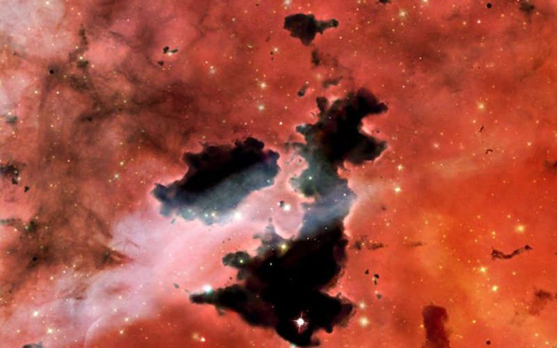 6731598_980x1200_0.jpg