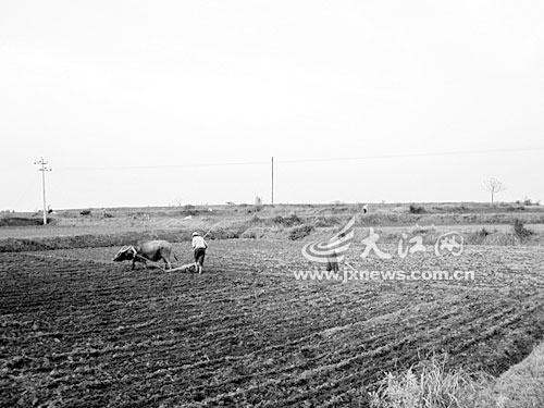 U3639P1T1D20310928F23DT20100520100330.jpg