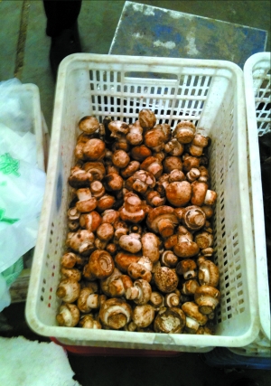 1291483879_HacCP5.jpg