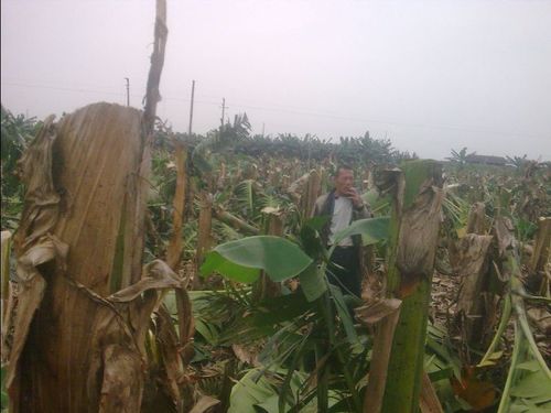 2010070201552213631.jpg