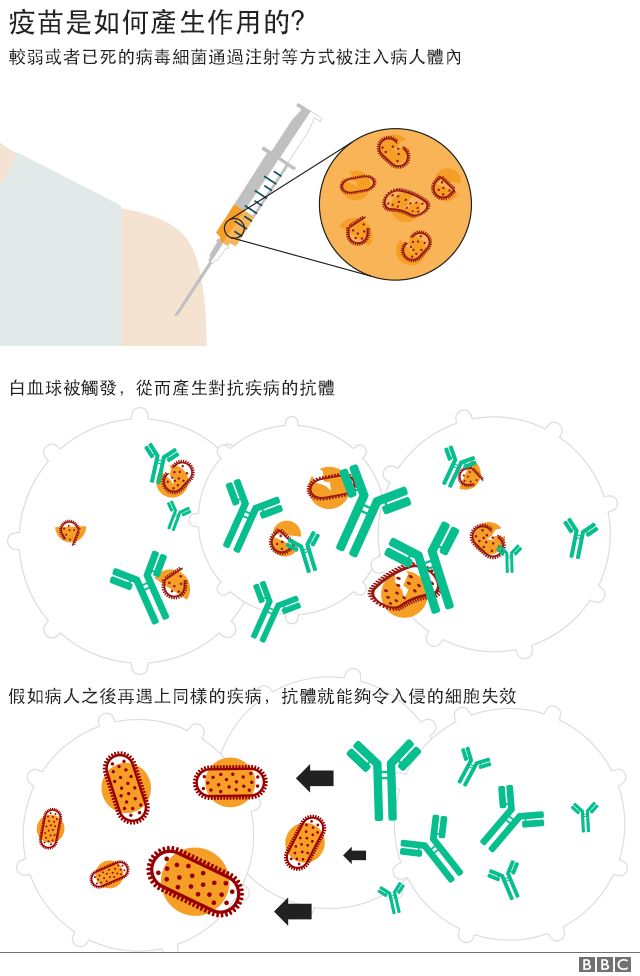 疫苗机制