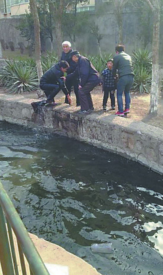 20130308144826032c1.jpg