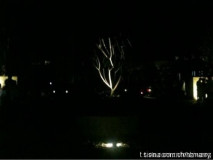 U3904P28T3D3261151F346DT20110322202400_small_h.jpg