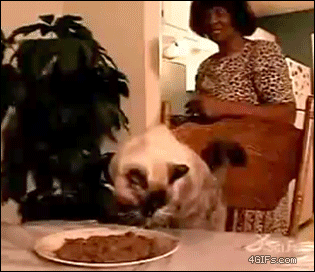 a75c32b7jw1e8dlvfymbjg208r07kx6p.gif