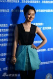 U2190P28T3D3242821F346DT20110301205101_small_h.jpg