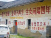 100x75_83URH7MO00AP0001.jpg
