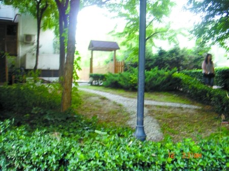 2010813121224.jpg