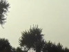 100x75_8PEOPIHJ4T8E0001.jpg
