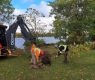 Two forestry workers planting a tree in a park. A backhoe is visible, and a river is in the background.