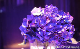 U3987P28T3D3301785F346DT20110507193223_small_h.jpg