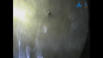 1127466283_16214202972561n.gif