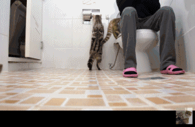 8e7f1a15jw1f7u2zh6ux0g207v055kjo.gif