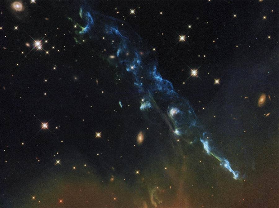 6863707_980x1200_0.jpg