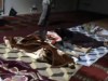 100x75_82GMSOV800AO0001.jpg