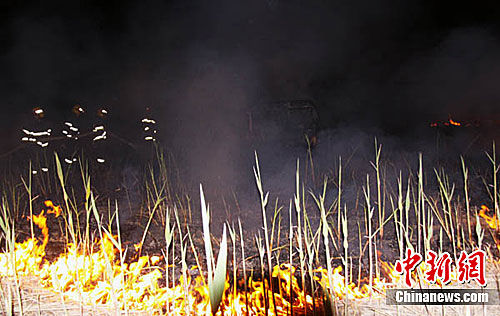 1304575450_2qzEP7.jpg