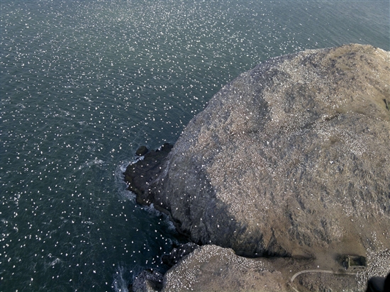 S01425854.jpg