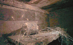 201004290453278cd04.jpg