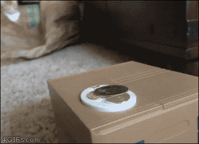 63e5c1e1gy1ffwg1zkcjlg20b4083000.gif